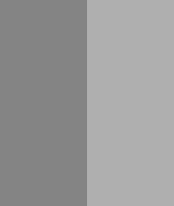grey and still grey illustration